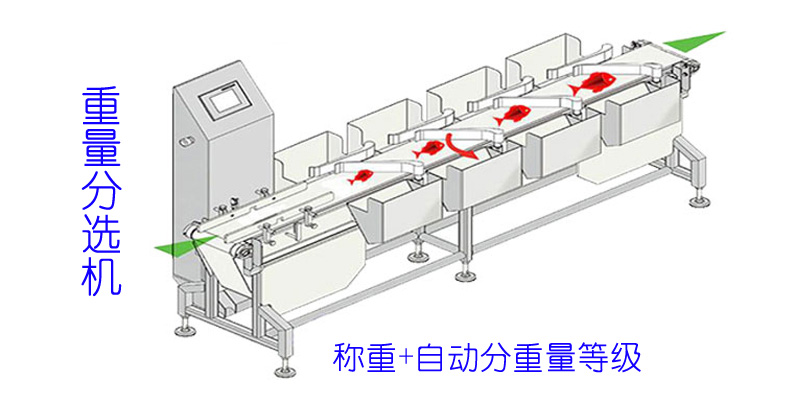 重量分選機-示意圖